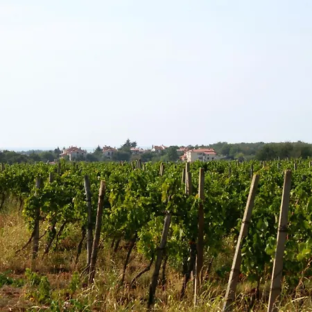 With Wifi Rozac, - 27233 Umag